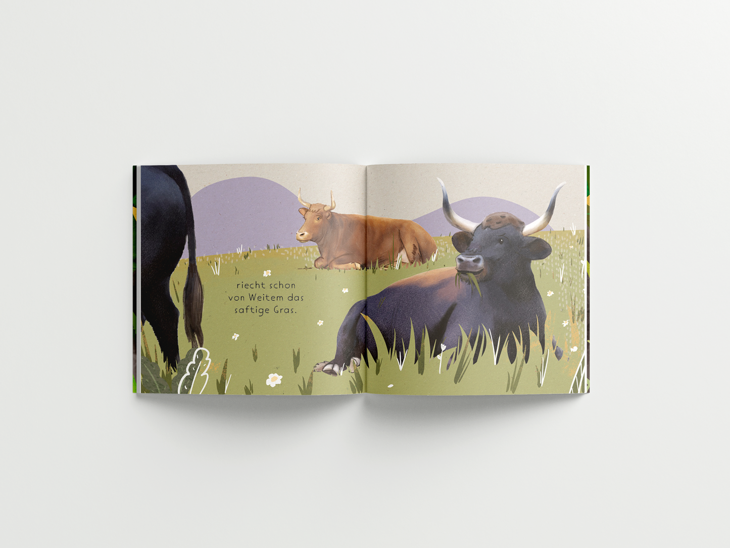 Illustration von zwei Rindern auf einer grünen Wiese mit kleinen weißen Blumen. Im Vordergrund liegt ein schwarzer Stier mit großen, geschwungenen Hörnern und kaut auf einem Grashalm. Im Hintergrund steht eine braune Kuh vor sanften, lila Hügeln und blickt zur Seite. Links ist der Hinterteil eines weiteren Tieres zu sehen. Der Himmel ist in sanften Pastelltönen gehalten. Links im Bild steht der Text: 'riecht schon von Weitem das saftige Gras.'