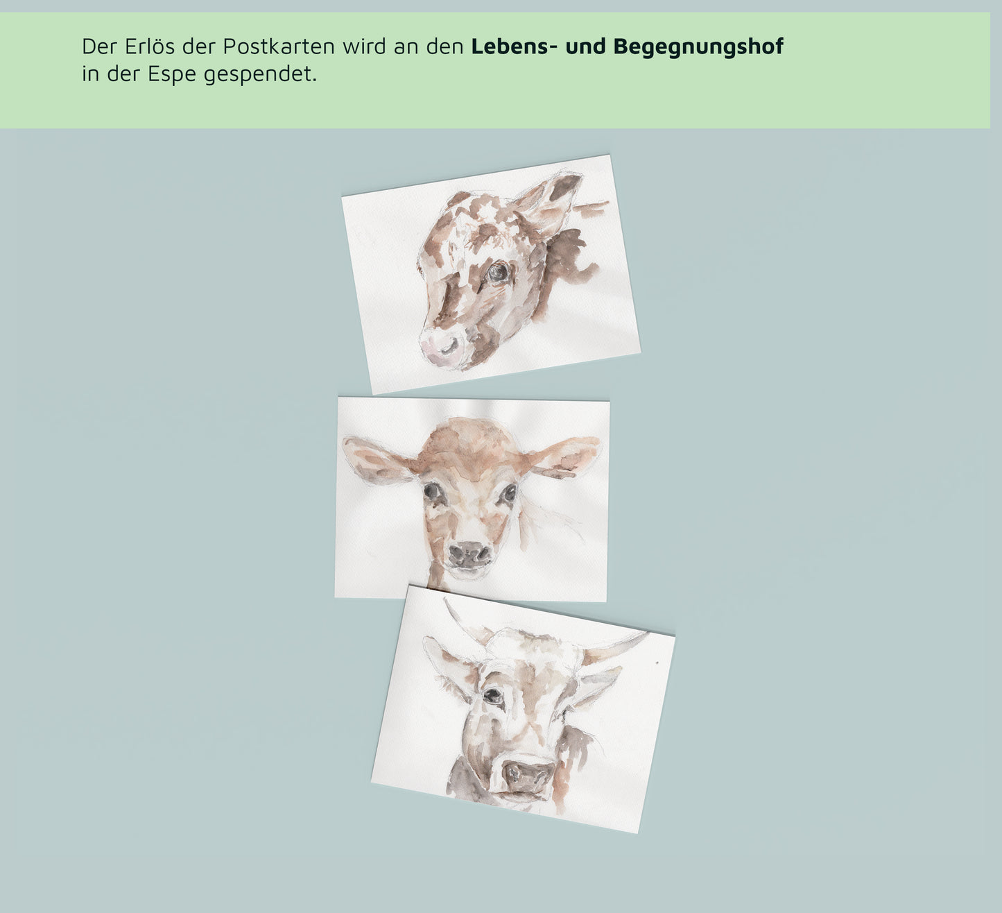 Postkarten-Set »Next Level«