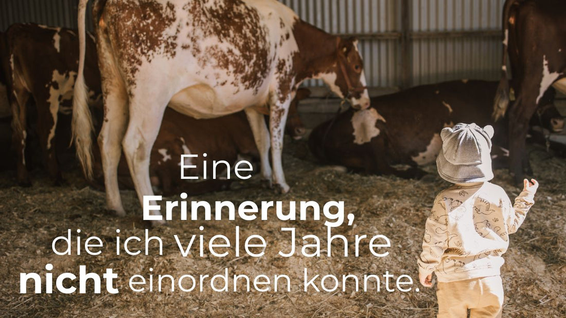 Kleines Kind betrachtet Kühe in einem Stall. Das Bild begleitet einen Blogartikel darüber, warum Kühe Milch geben und warum Kälber von ihren Müttern getrennt werden.