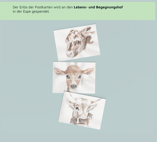 Postkarten-Set »Next Level«